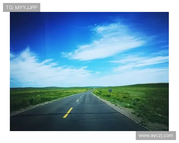 心之所向，素履以往：那些柔软又坚韧的“地儿”